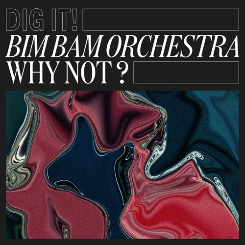 Bim Bam Orchestra - Why Not ? (Dig It ! 022)