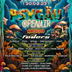 Flydelic @Psygäu Openair w/ Faders