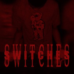 167Shawn-Switches