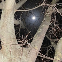 call my phone w/luvponyo