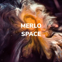 merlo - space
