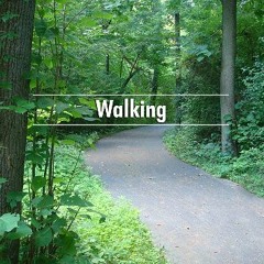 ebook [read pdf] ✨ Walking Full Pdf