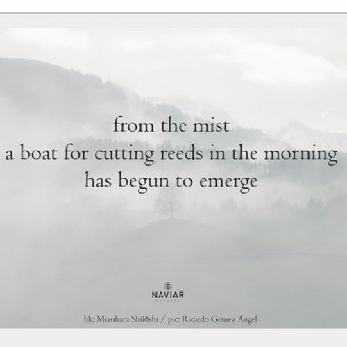 In the Myst of Others (NaviarHaiku464)