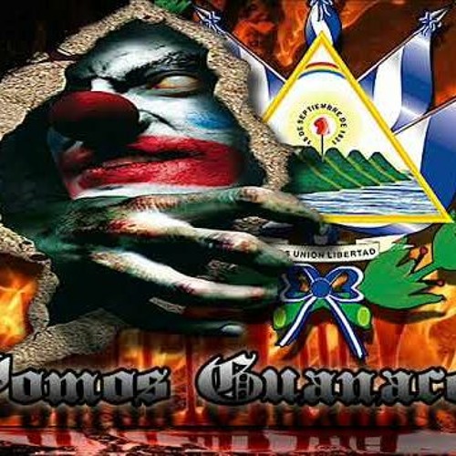 Estilo Guanaco ❌ ZC ❌ S.S