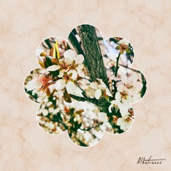 Flower Of Life