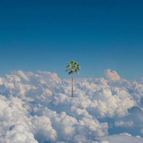 Paycheck (prod rx beats)