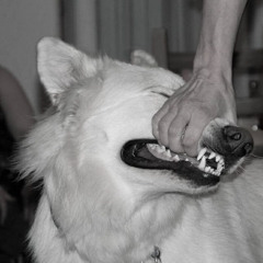 why'd you go up and leave me