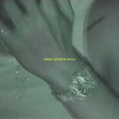 Lithe - Vetted (ZENEA REMIX) (FREE DL)