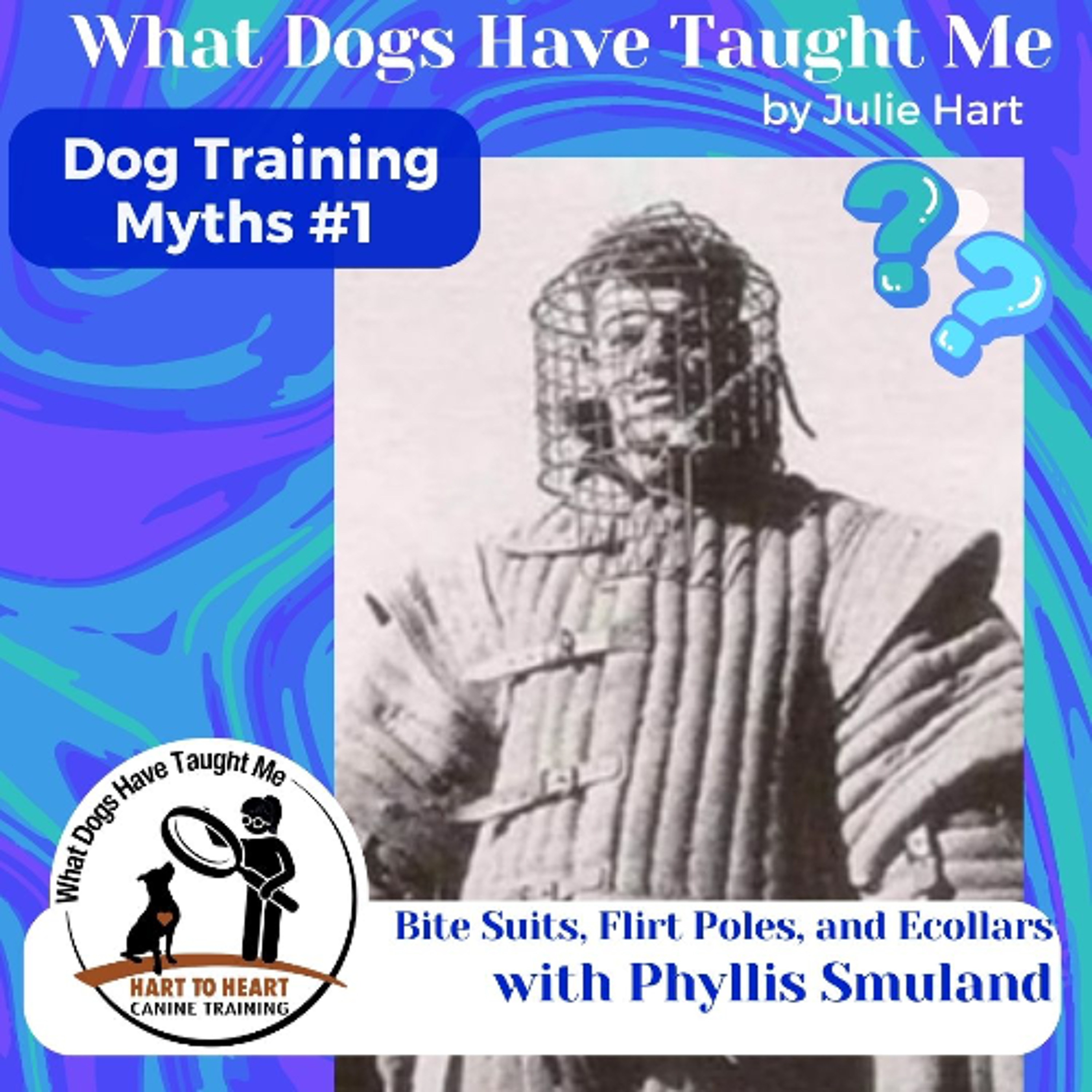 Dog training myths with Phyllis Smuland: Bite Suits, Flirt Poles, and ECollars episode artwork