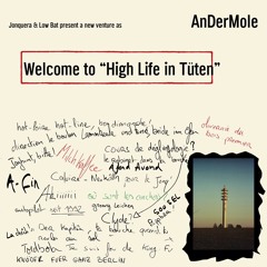 Stream Low Bat | Listen to AnDerMole - High Life in Tüten (Full Album)  playlist online for free on SoundCloud