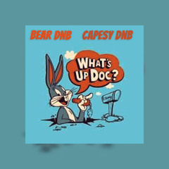LOONEY TUNES DUB