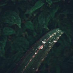 Rudimental & Major Lazer - Let Me Live (ft. Anne-Marie & Mr. Eazi)(Slowed + Reverb + 8D)