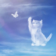 会えるぴ w kayel