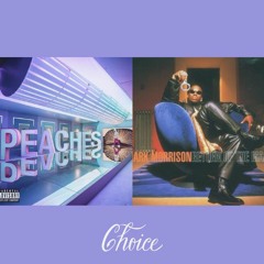 Return of the Peaches (Choice Cut / DJ Serg Sniper Blend)
