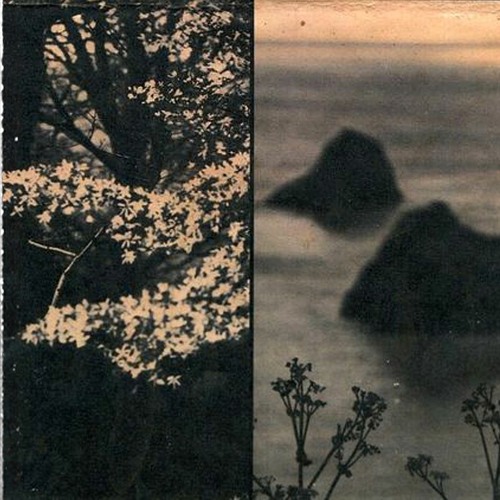 2024 I'm writing something that's gonna get massive plays