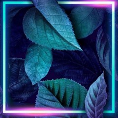 Цифровая Любовь