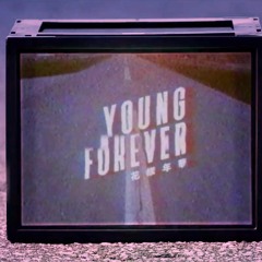 BTS Young Forever - cover by LBL