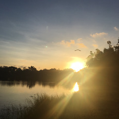 ไม่จริง Original