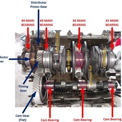 pull the crank (fiona)