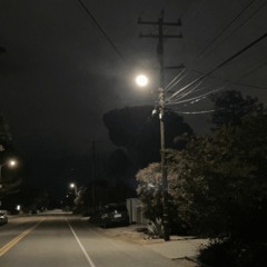 moonlight morii