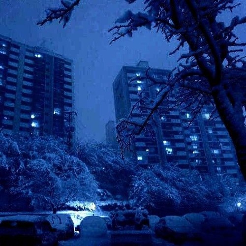 505 Freestyle (prod. Rollie)