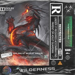 Wilderness w/ slxce x NED!S