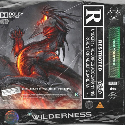 Wilderness w/ slxce x NED!S