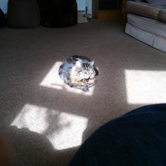 Let Us Breathe(McSorley)2020.MP3