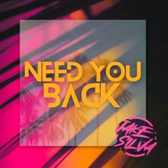Need  You  Back - Jake Silva