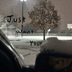 Just Want Your Love