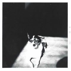 Can I Pet That Dawg (REMIX)