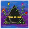 Peace of Mind