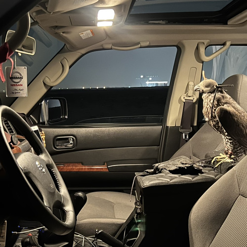 ‎⁨شيلة هاضت قريحة خاطري كلمات  حمد القاشوطي أداء  عبدالرحمن آل نجم (mp3)⁩.mp3