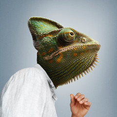 Echsen (prod. Besiop Lete x Z8TA)