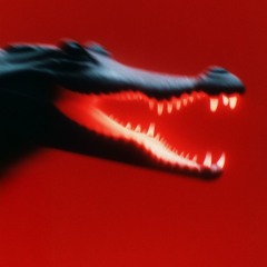 ꜱᴄʜᴀᴛᴛᴇɴ_ꜱᴇᴛ