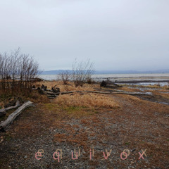 equivox