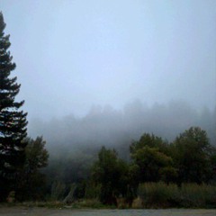 I Can't Live Without You