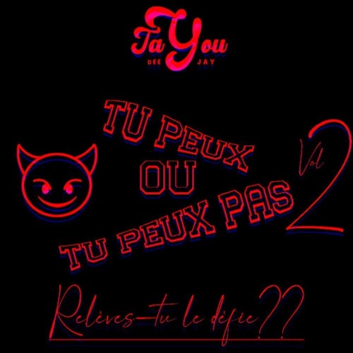 Dj Tayou- Tu Peux OU Tu Peux Pas Vol.2