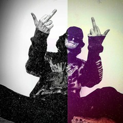 FREESTYLE SONOR LICHID