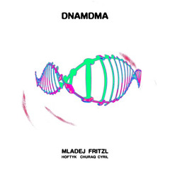 MLADEJ FRITZL - DNAMDMA ft. HOFTYK, CHURAQ CYRIL