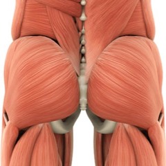 episode 68: adventures in butt stuff