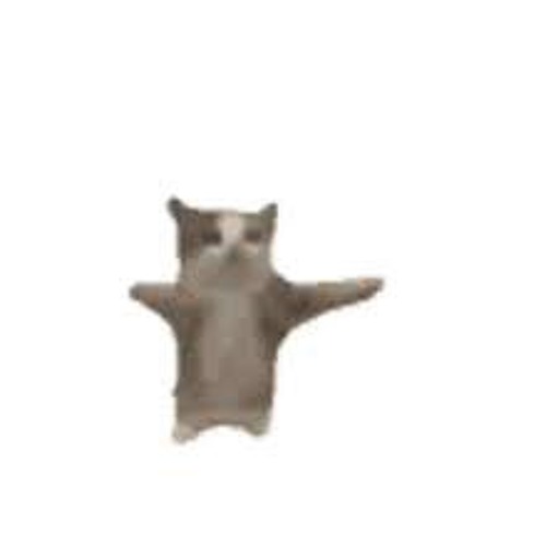 YIPPEE - (TikTok - AZALI)