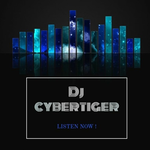 Dj CyberTiger - Aprill MegaMix 2011