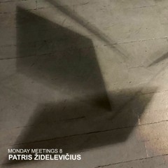 Monday Meetings 8: Patris Židelevičius