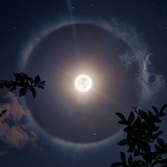 Moon!