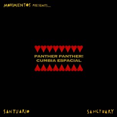 Premiere | Panther Panther - Cumbia Espacial [Movimientos Records]