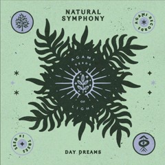 Day Dreams (Agami Records)