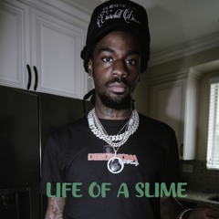 Bslime - Life of a slime - 65 - Mike Vegas