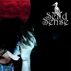 Lil Send Sense x Black (oficial video).prod.$$$