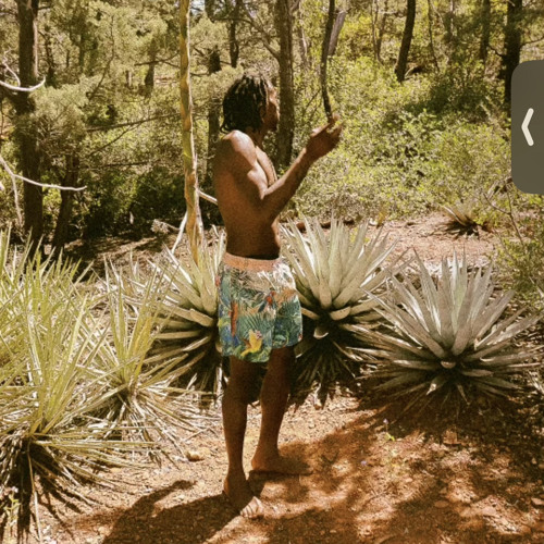 Lethal Ancestor ( Glokk40Spazz Lethal Remix )